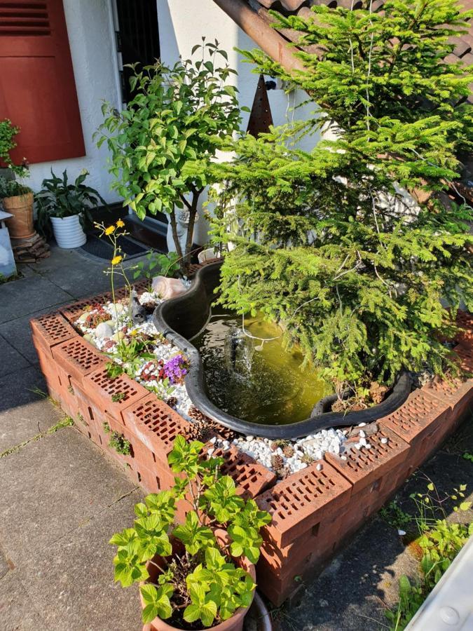 Bnb Haus Weibel Landquart Extérieur photo